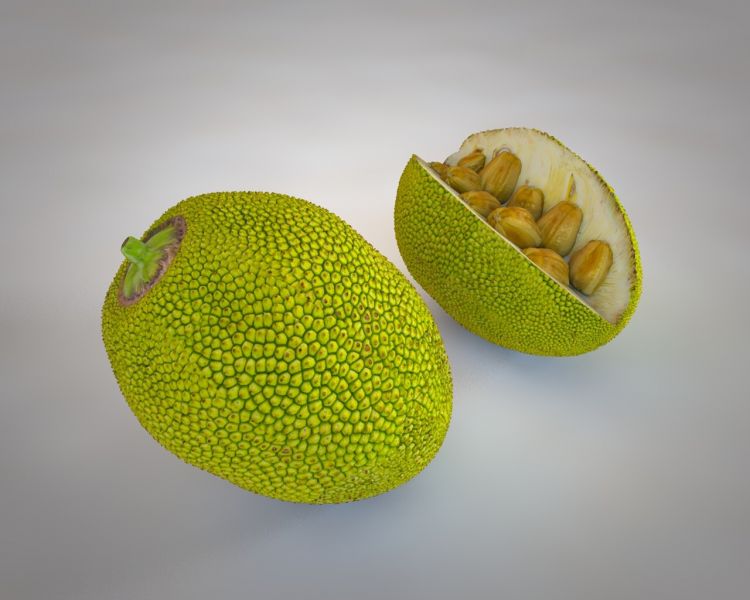 Datei:Padish-Frucht.jpg